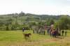 dsc_2056_small.jpg