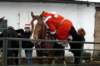 dsc_0597_small.jpg