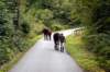dsc_4636_small.jpg