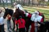 dsc_9499_small.jpg