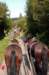 dsc_5074_small.jpg