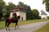 dsc_6811_small.jpg