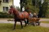 dsc_6841_small.jpg
