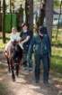 dsc_1562_small.jpg