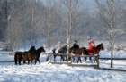 dsc_0189_small.jpg