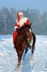 dsc_0257_small.jpg