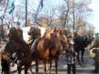 dsc05175_small.jpg