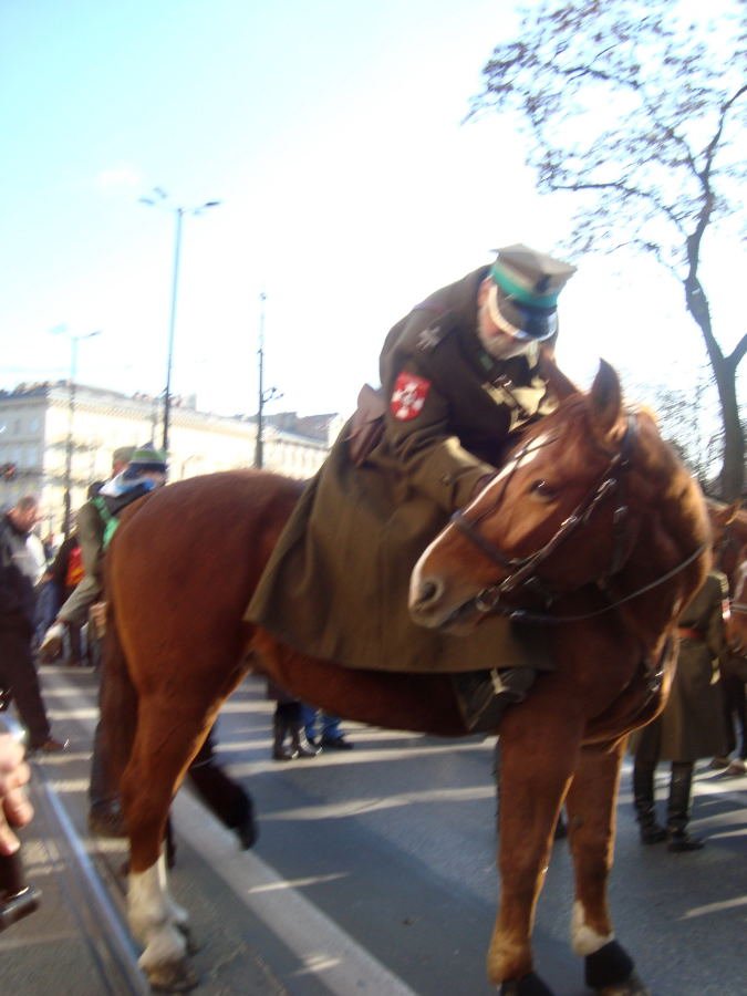dsc05177.jpg