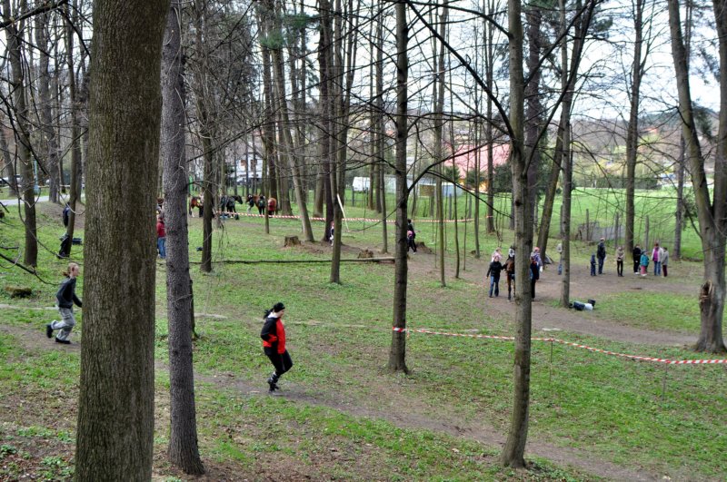 dsc_0316.jpg