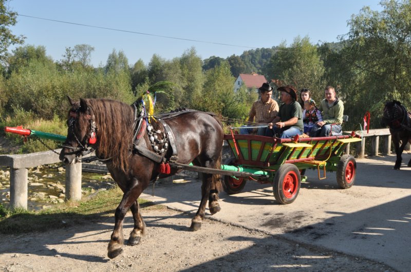 obraz066.jpg