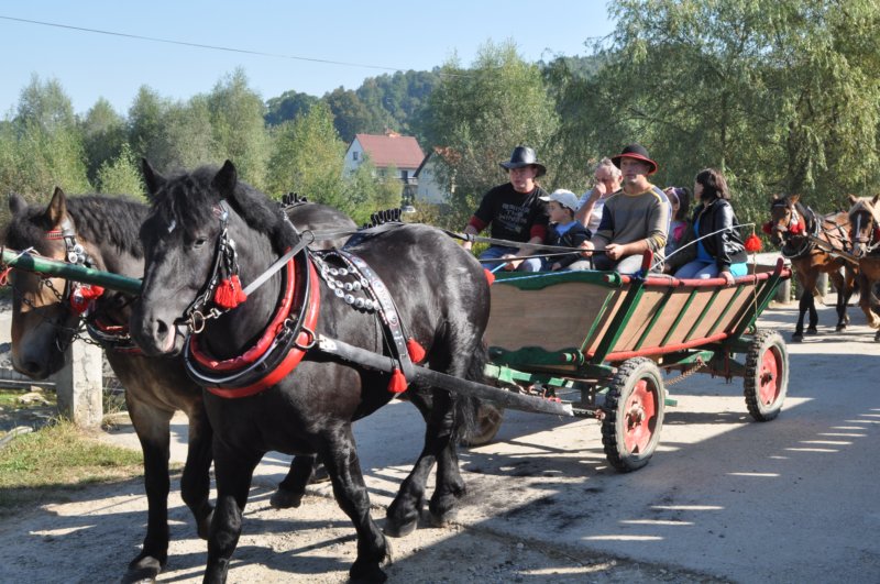 obraz090.jpg