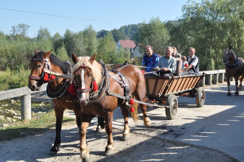obraz095.jpg