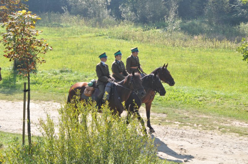 obraz142.jpg