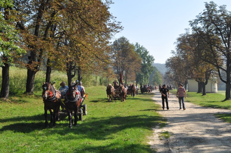 obraz165.jpg