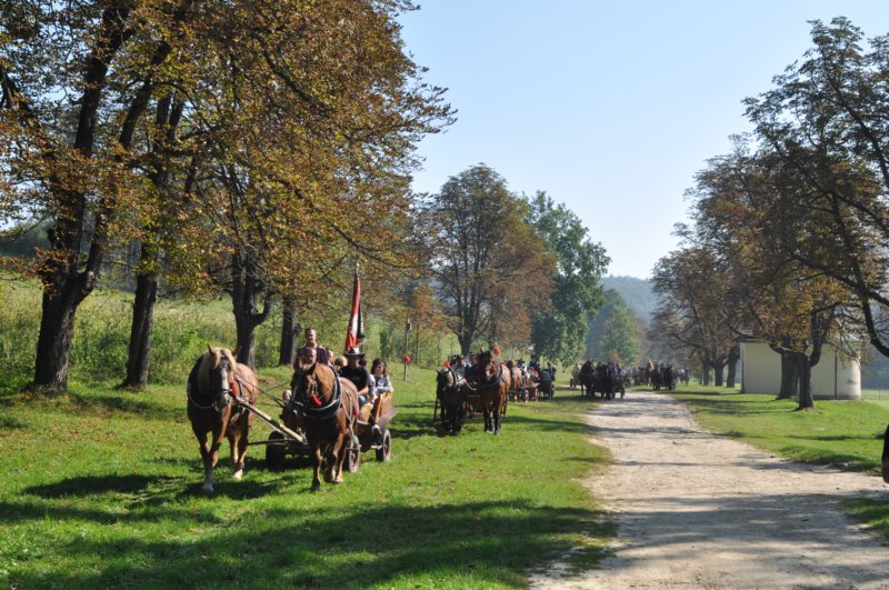 obraz167.jpg