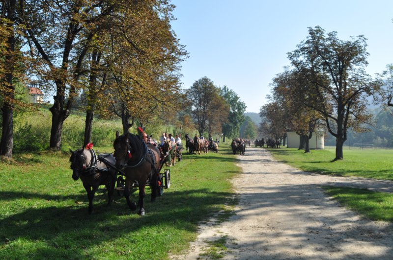 obraz171.jpg