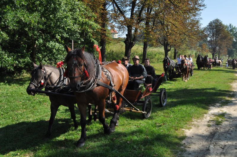 obraz172.jpg