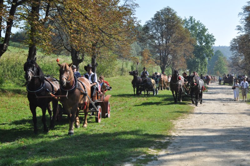 obraz177.jpg
