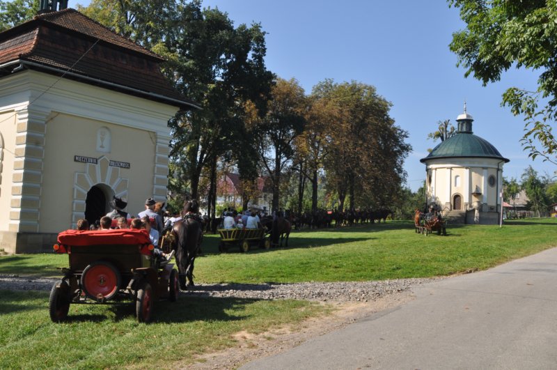 obraz226.jpg
