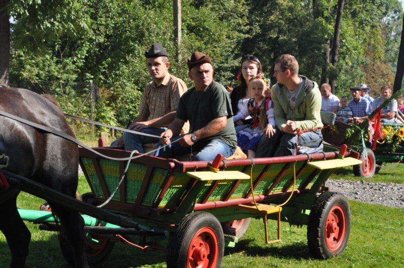 obraz239.jpg