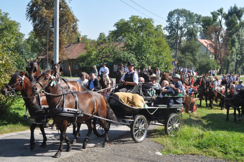 obraz315.jpg