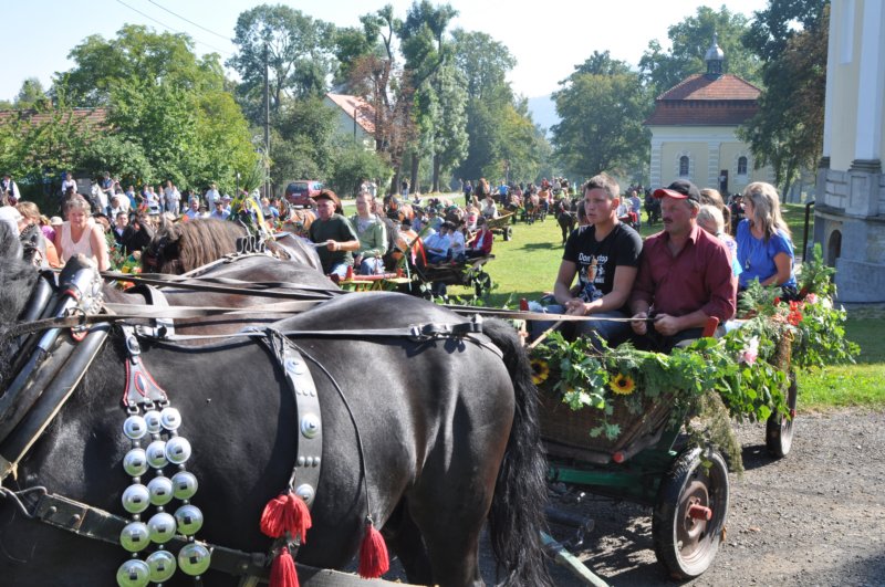 obraz324.jpg