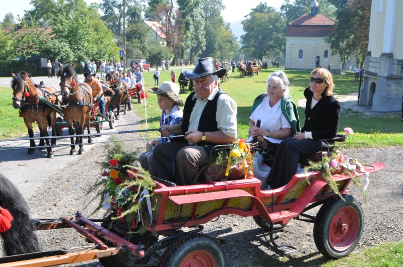 obraz351.jpg