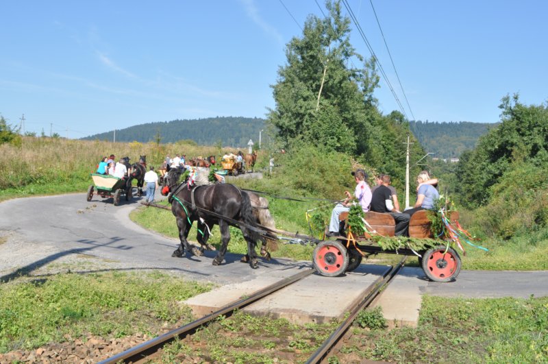 obraz395.jpg