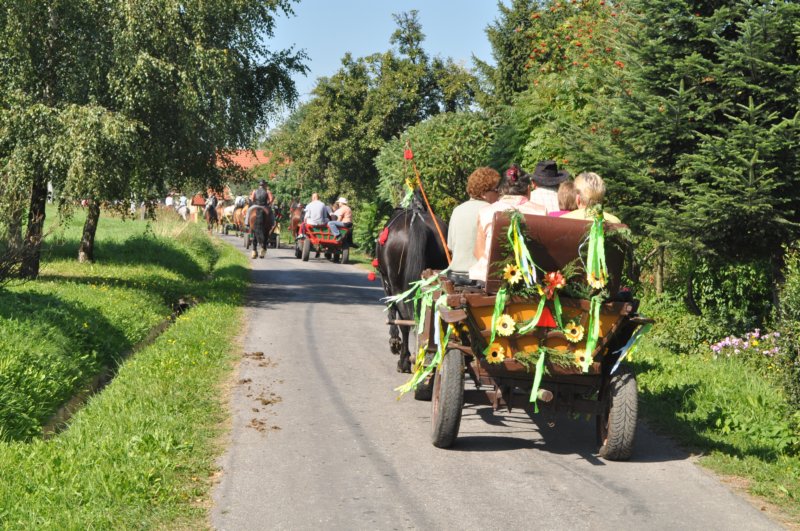 obraz408.jpg