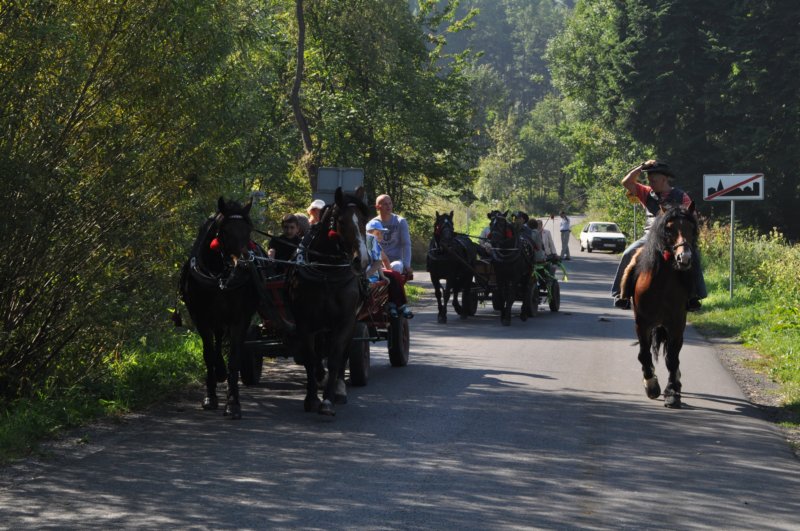 obraz419.jpg