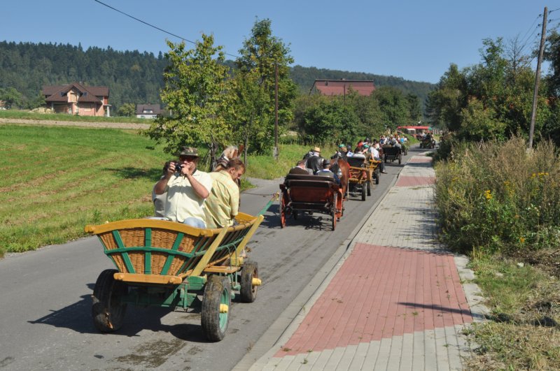 obraz436.jpg