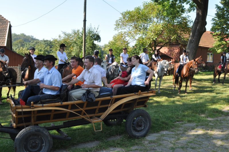 obraz492.jpg