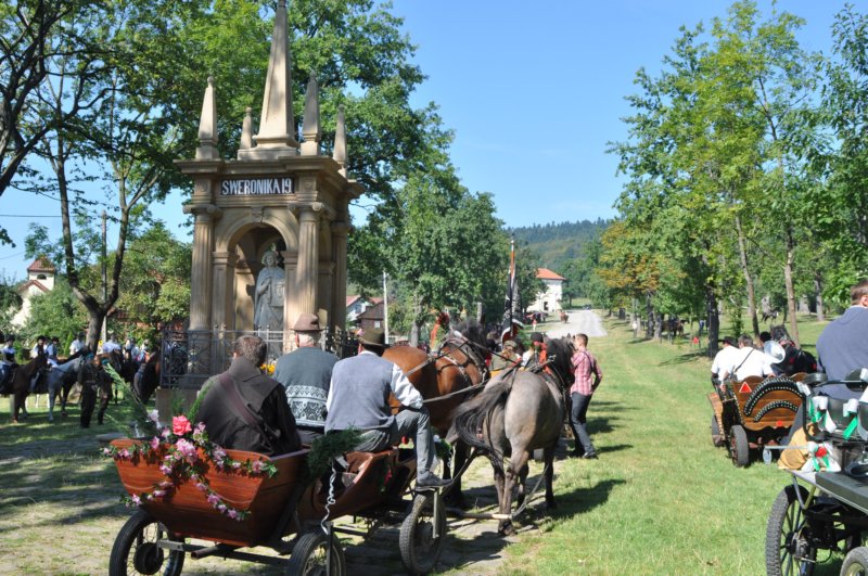 obraz519.jpg