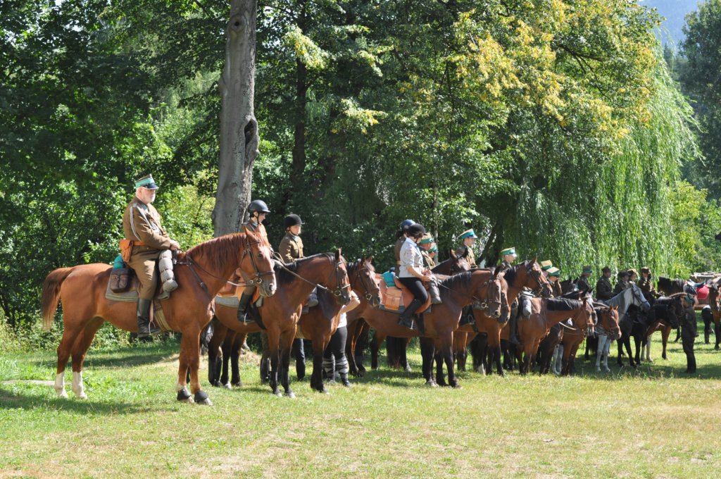dsc_0353.jpg