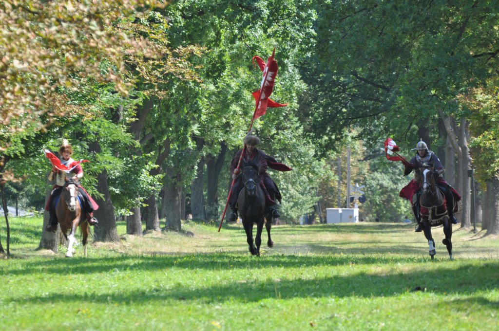 dsc_0611.jpg